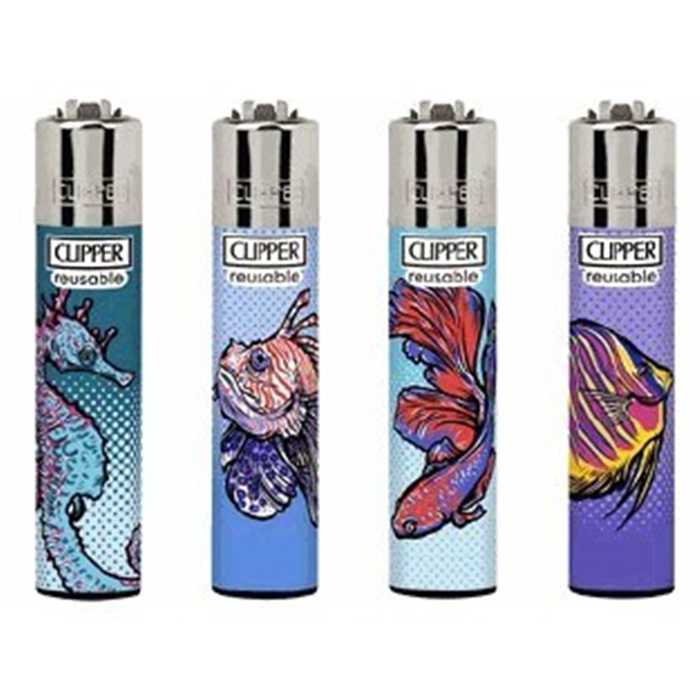 Clipper Fish JF Maes | CLIPPER CP11RH SEA FISH (X48)
