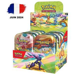 DISPLAY OF 10 MINI TIN BOXES OF 2 BOOSTERS (FR)